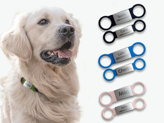 Placa identificativa para perros y gatos personalizada 