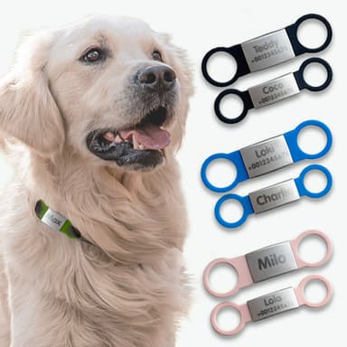 Placa identificativa para perros y gatos personalizada 