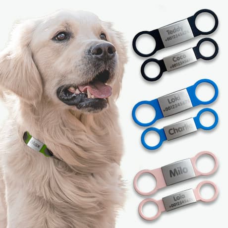 Placa identificativa para perros y gatos personalizada 