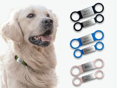 Placa identificativa para perros y gatos personalizada 