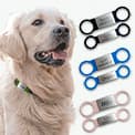 Placa identificativa para perros y gatos personalizada